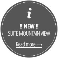 NEW - Suite Mountain View