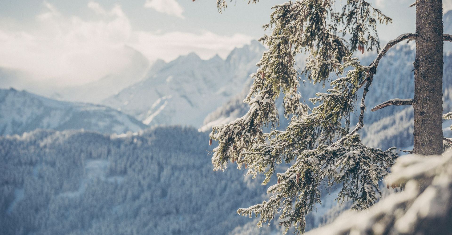 Aussicht im Winter - Hotel Bergkristall Hippach