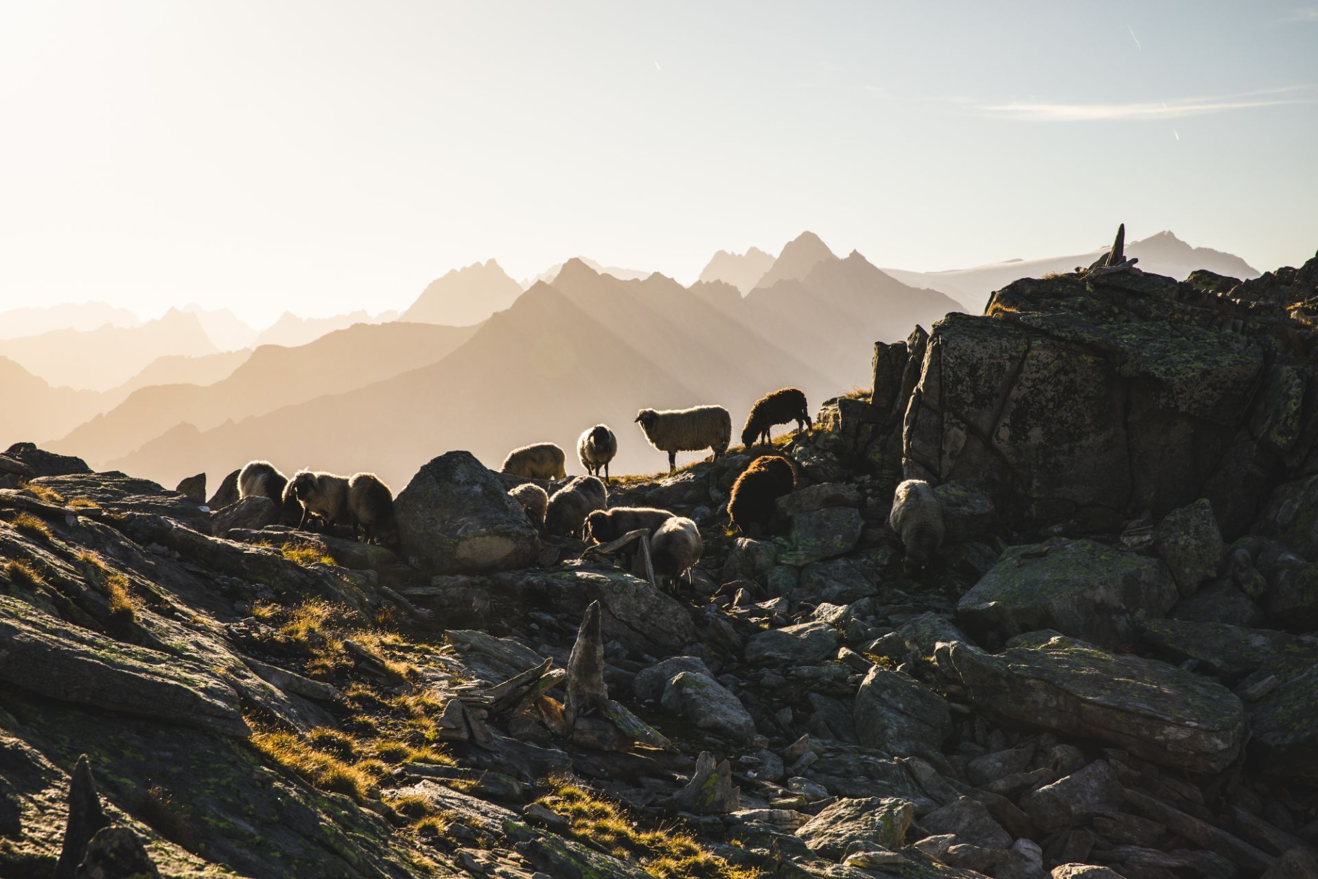 Wandern im Zillertal