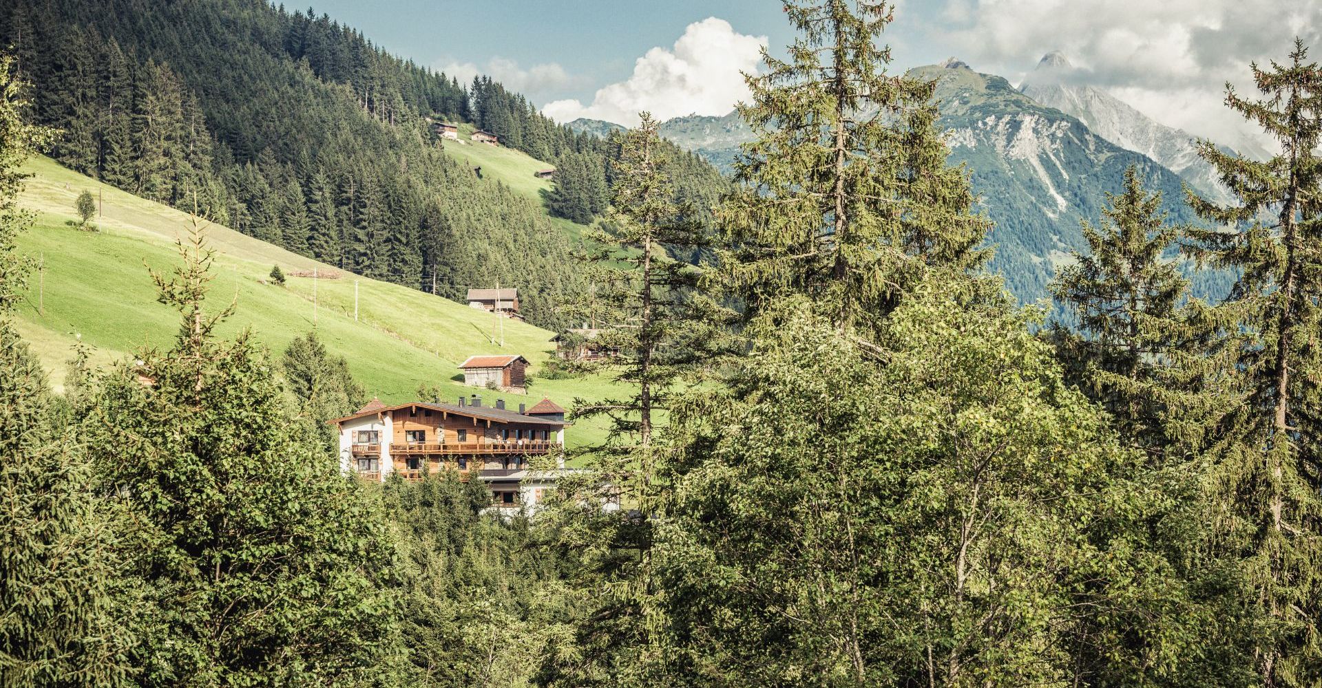Hotelansicht im Sommer - Hotel Bergkristall Hippach