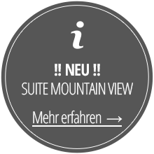 NEU - Suite Mountain View