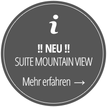 NEU - Suite Mountain View